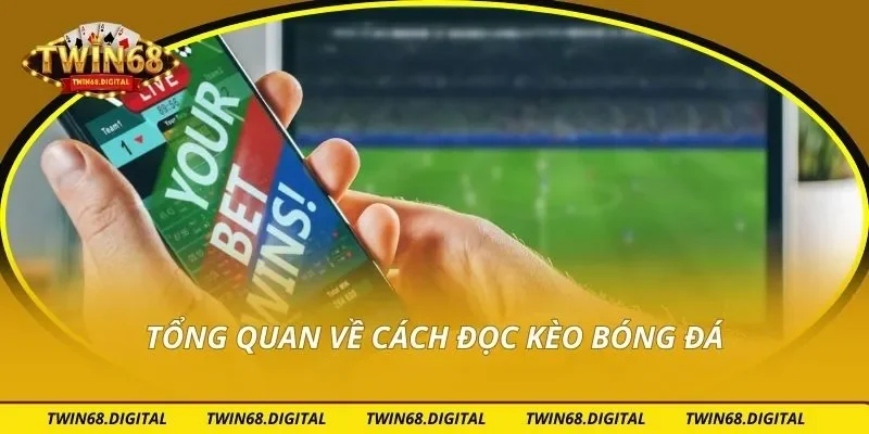 Tổng quan về cách đọc kèo bóng đá